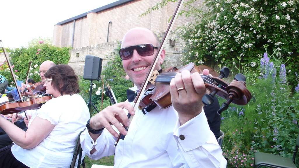 Gonzales, Jones and Meyer