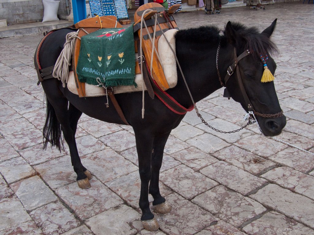 The Wasted Space Cadets