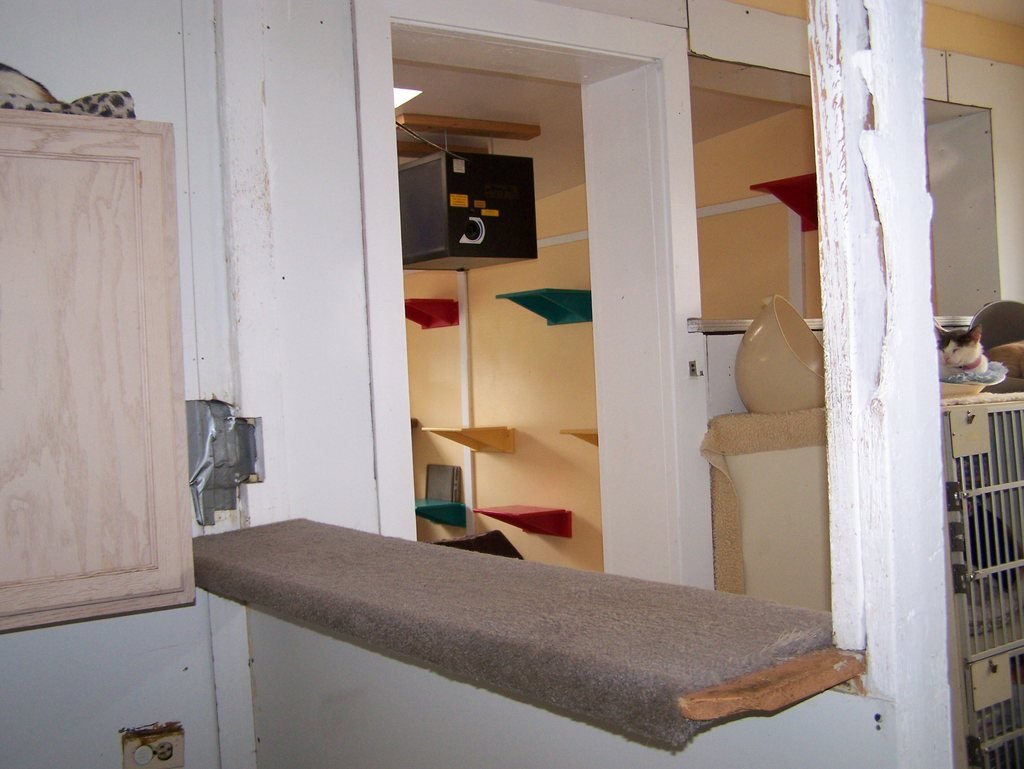 Zuniga, Singleton and Huff